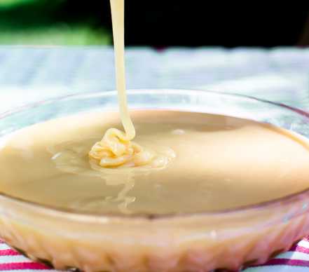 Leche Evaporada