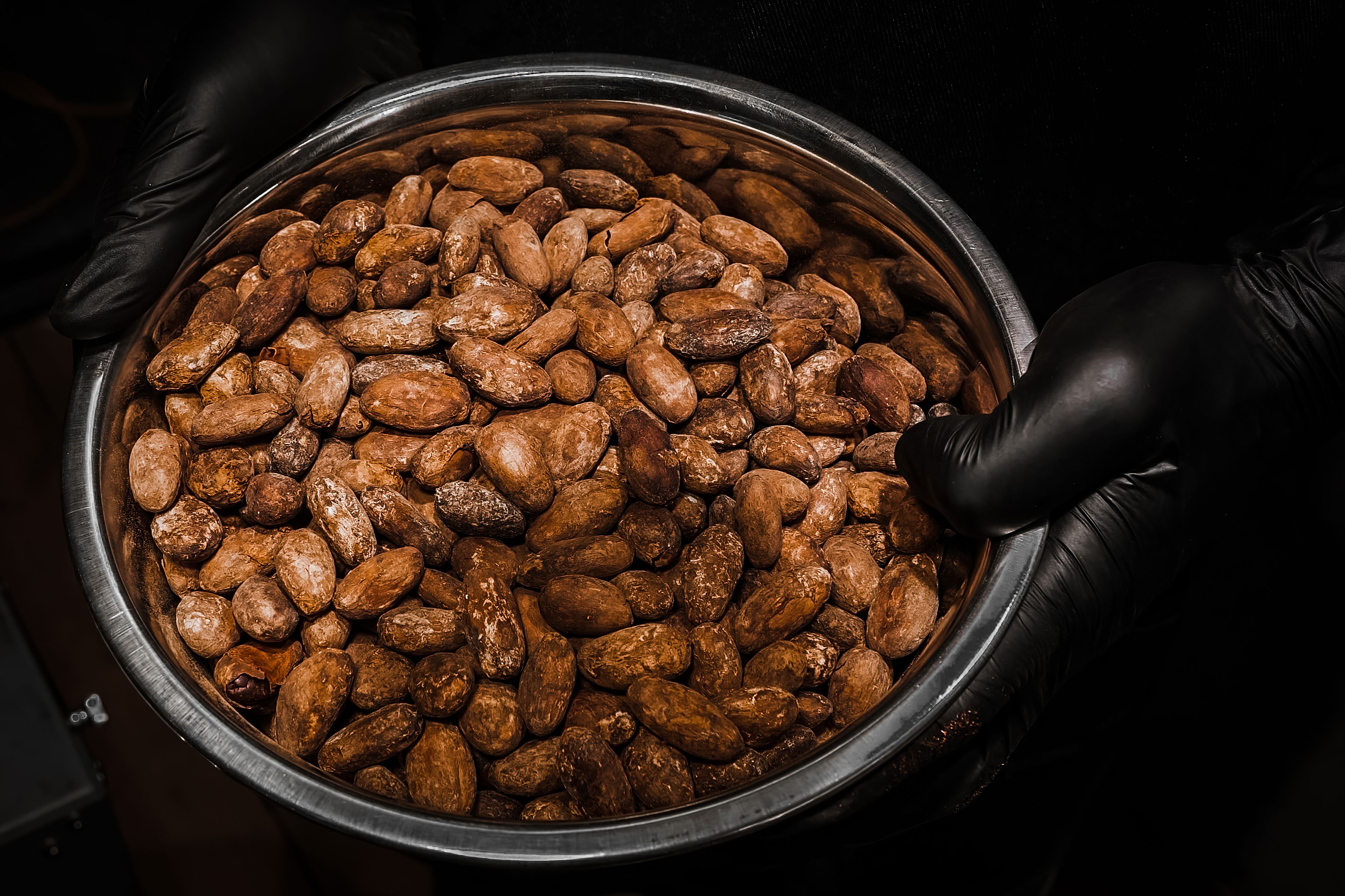 Nibs de cacao