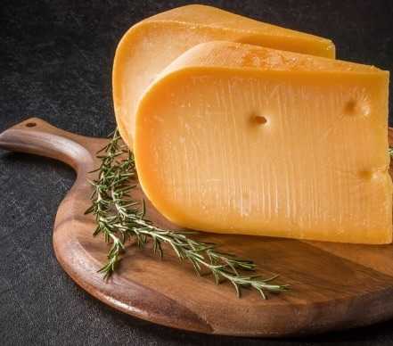 Cheese Gouda