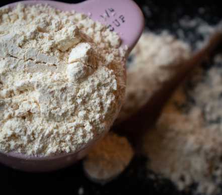 Non-Fat Dry Milk Powder