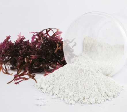 Carrageenan