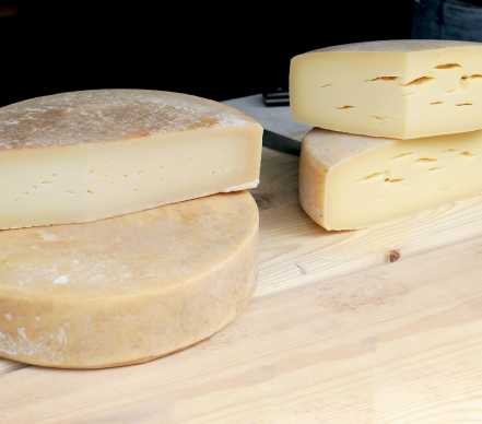 Edam Cheese